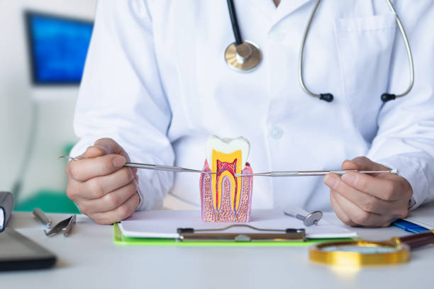 Best Holiday Emergency Dentist in San Juan Bautista, CA